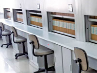 �����Զ�ѡ���